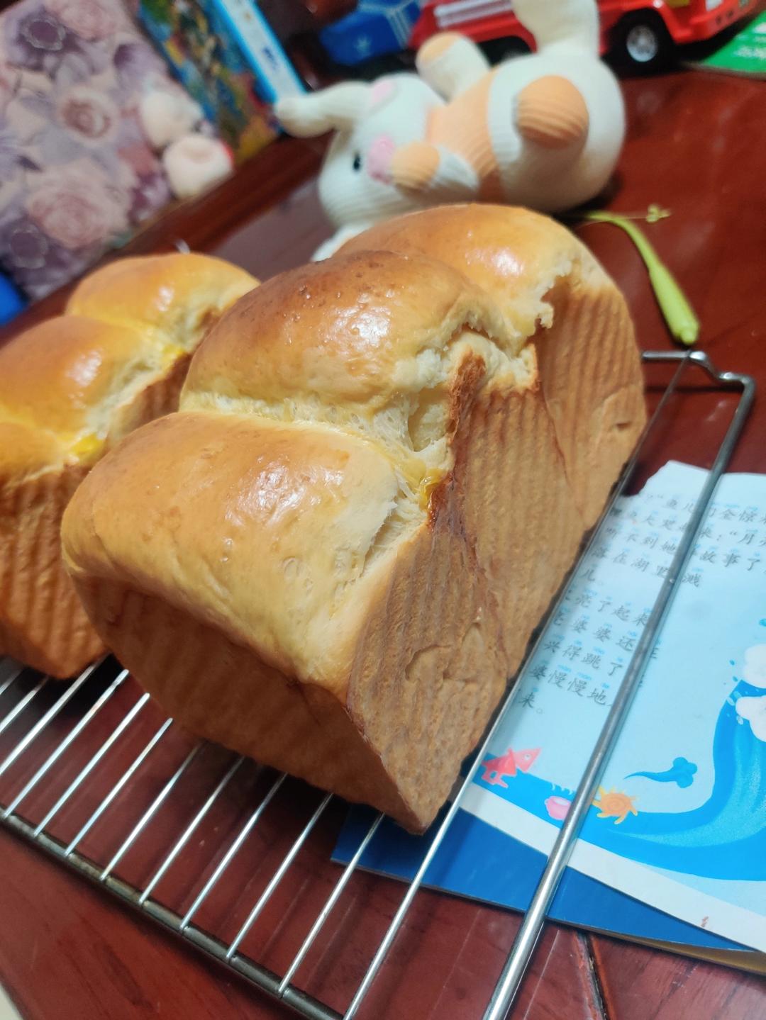大地震吐司