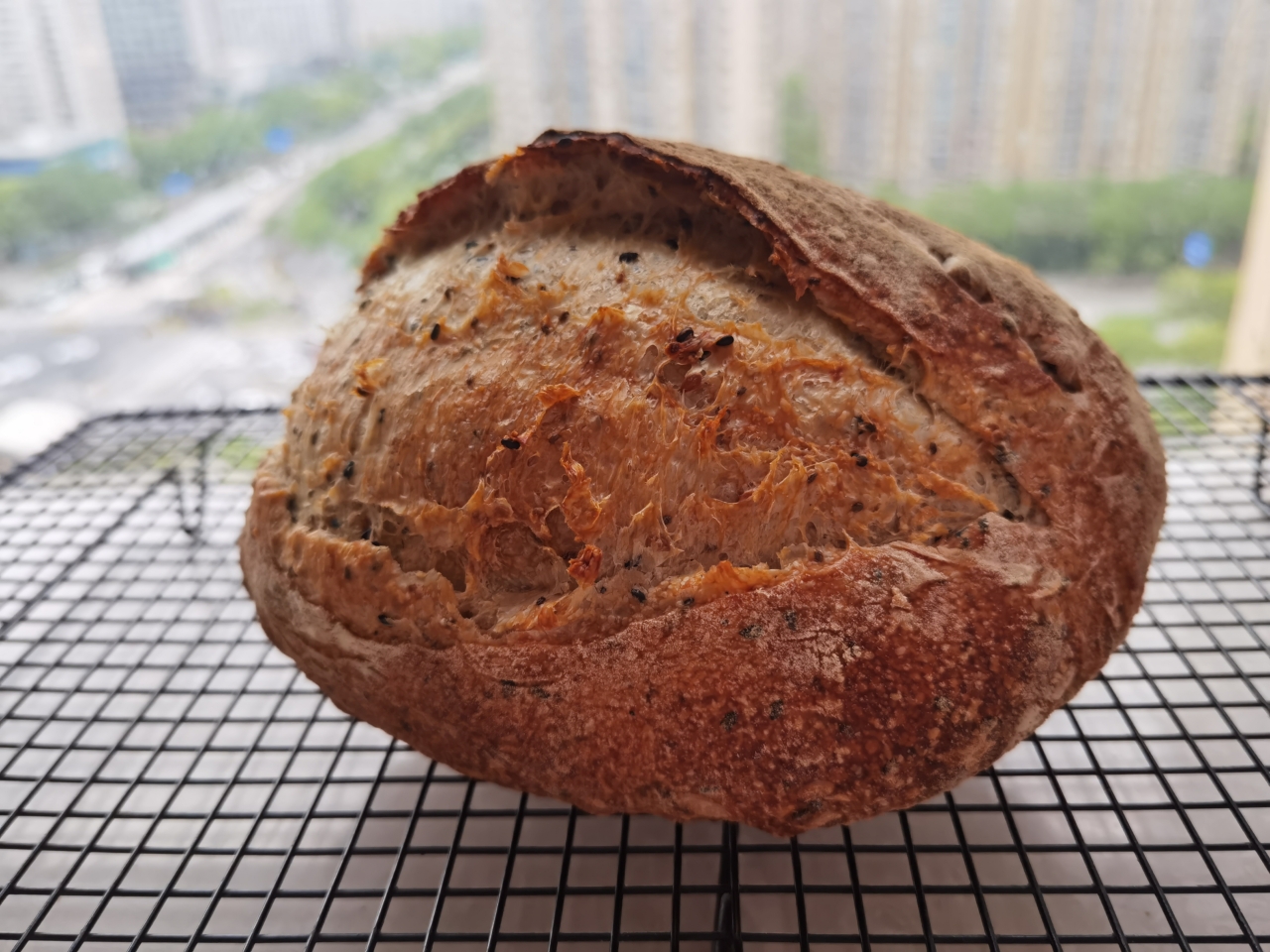 【Tartine Bread】天然酵种黑芝麻欧包