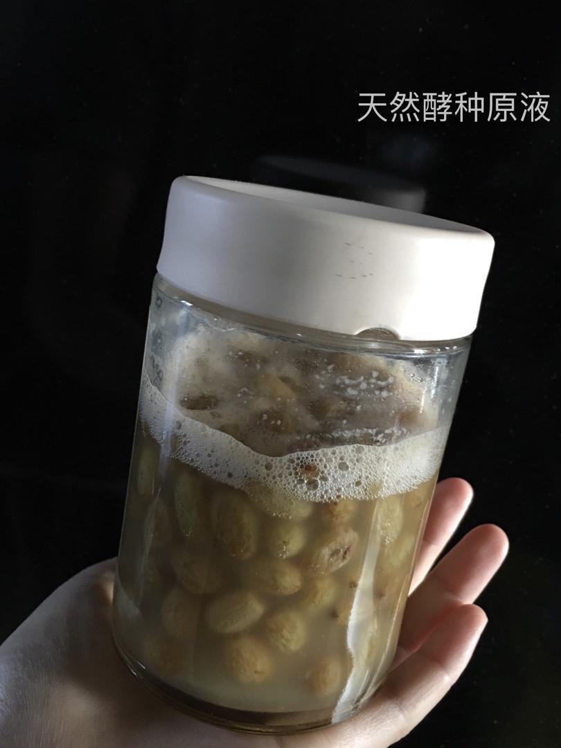 天然酵种宝宝's Life