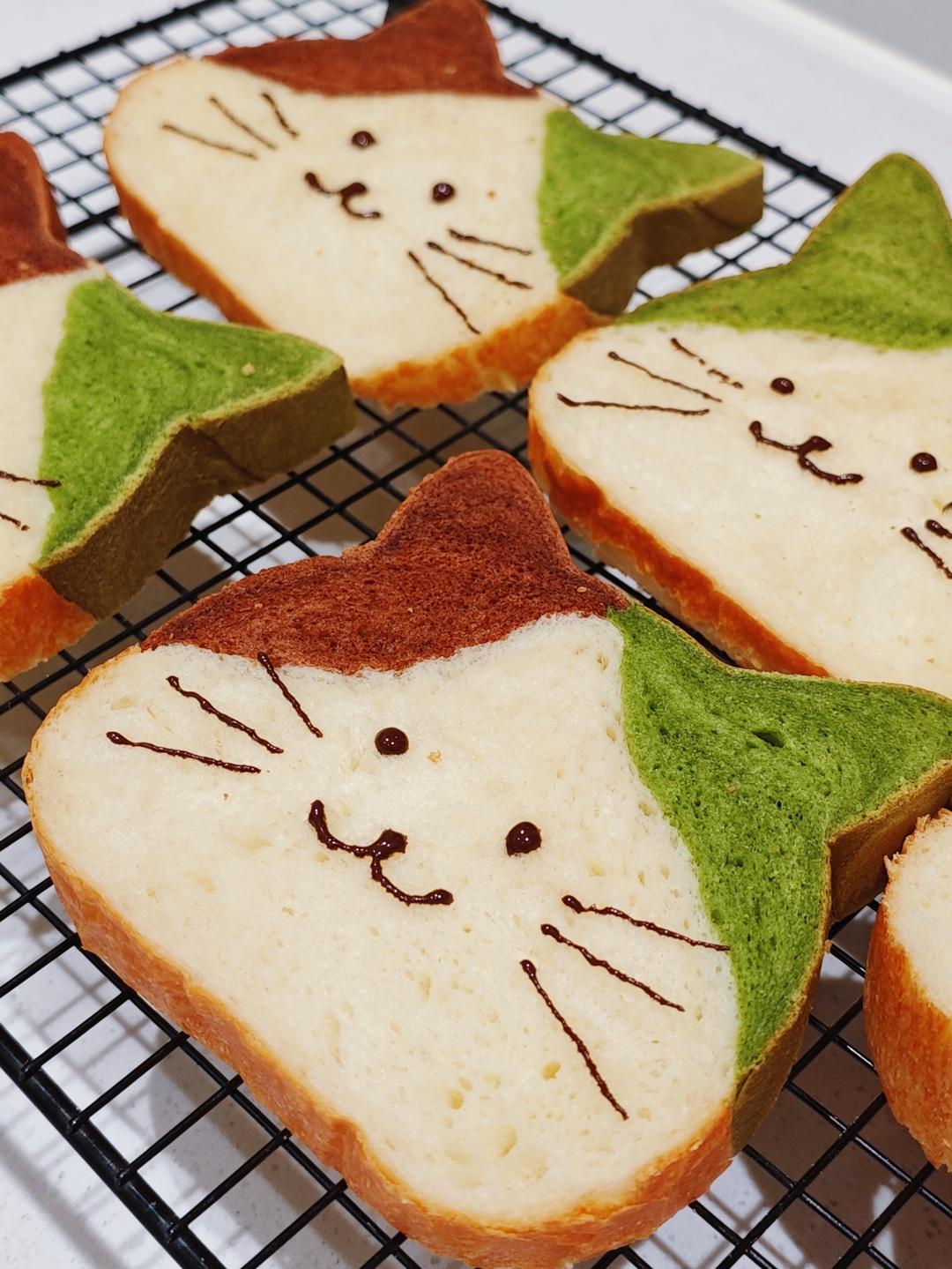 谁能拒绝圆头圆脑的猫咪吐司啊🐱