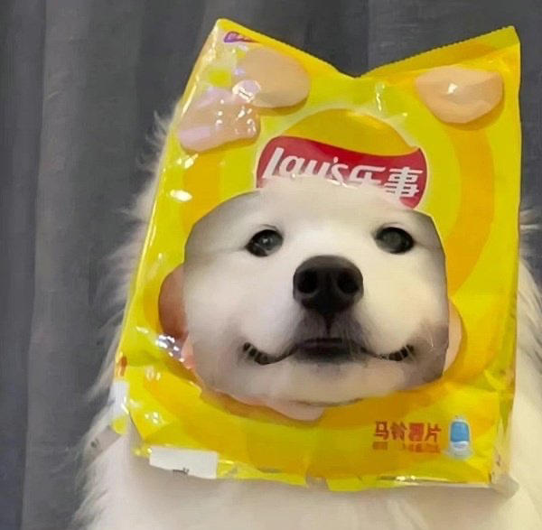嘛熟不熟的乐呵乐呵得了