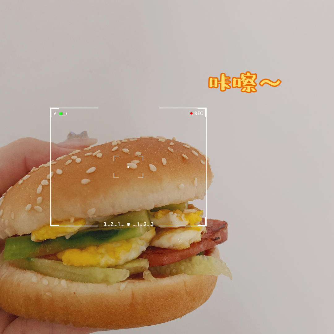 自制营养肉饼汉堡包