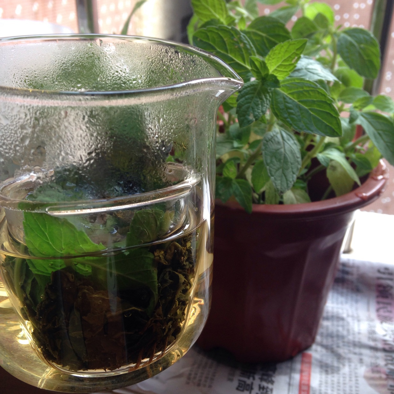 蜂蜜薄荷茶
