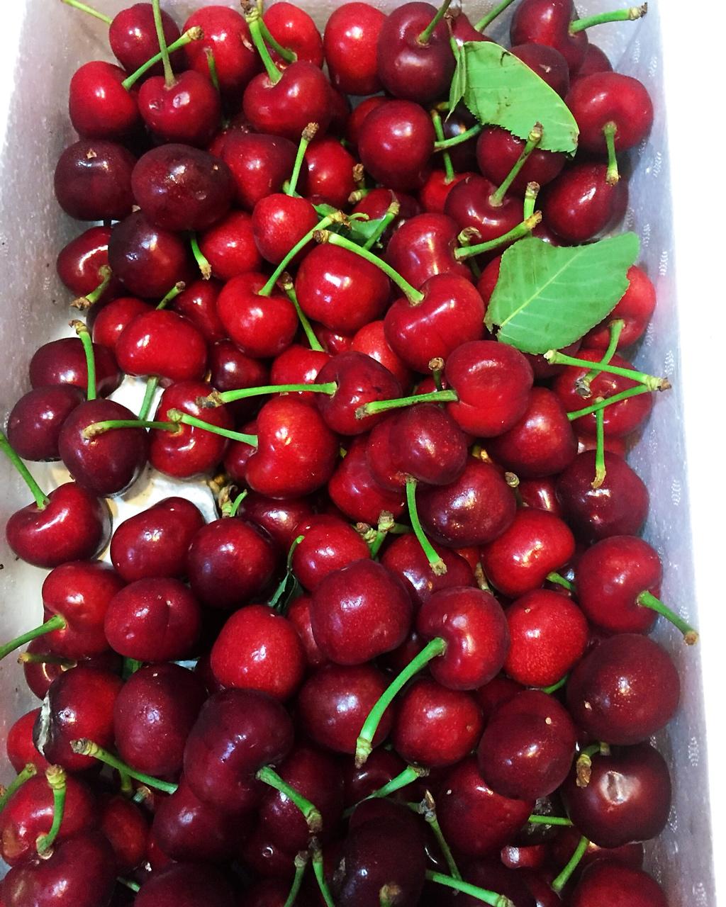 樱桃季