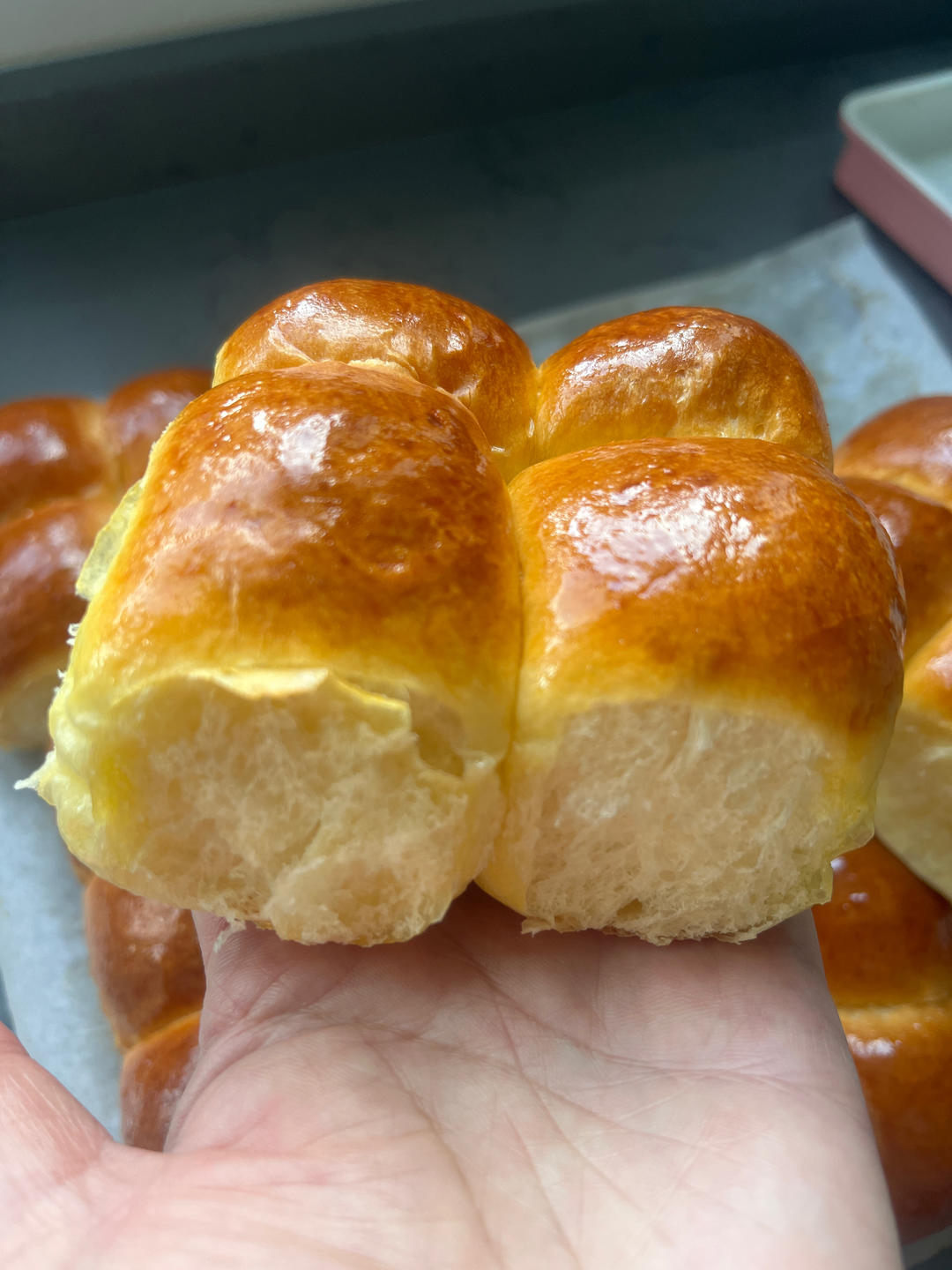 码住教程｜在家轻松复刻山姆同款黄油小餐包