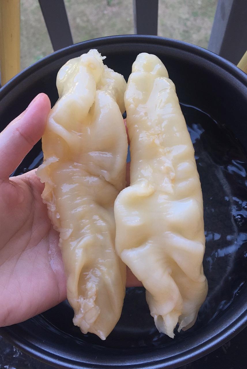 hwllo做的花胶的泡发