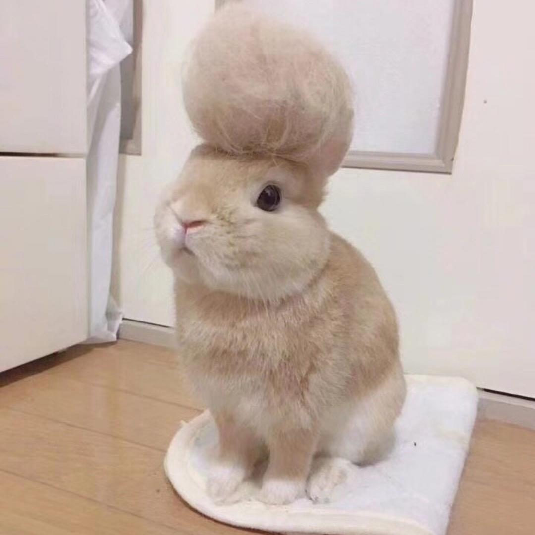 乐果瓶宇赫妈