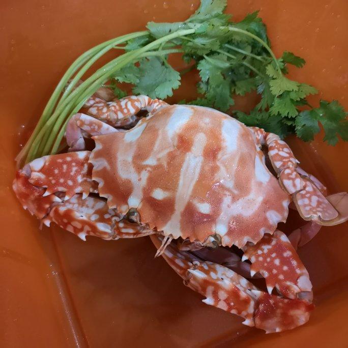 林倪丁丁做的消魂冻花蟹