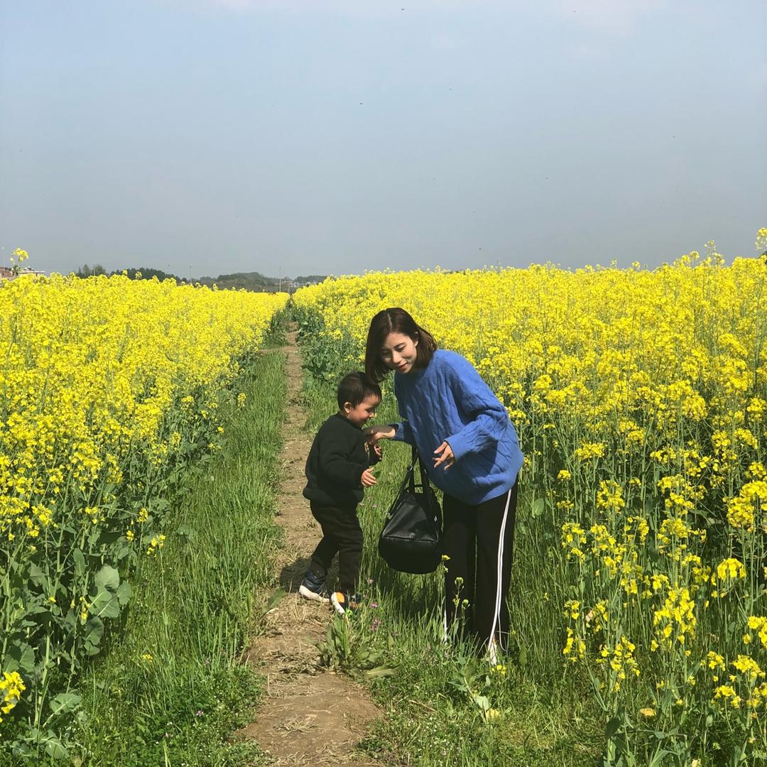 菠菜麻麻2015
