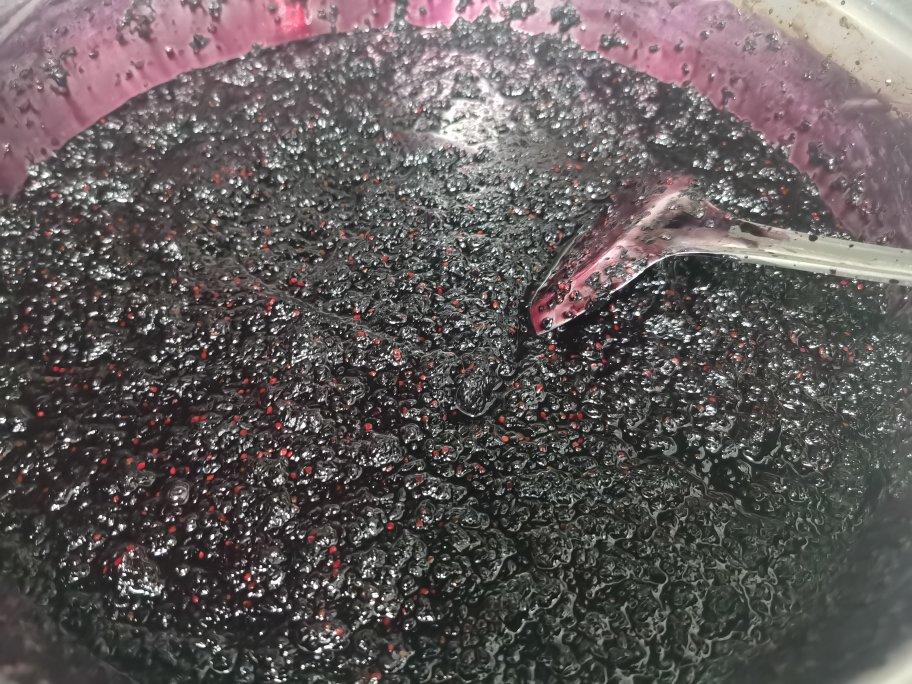 家庭自制桑椹酱