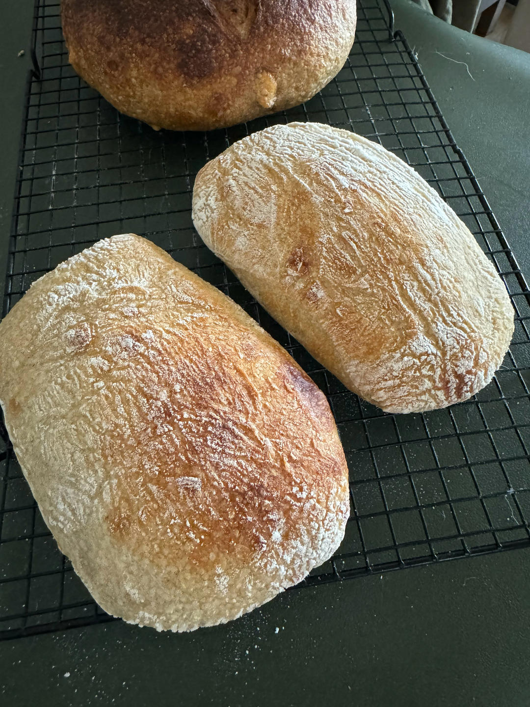 鲁邦种冷藏隔夜法恰巴塔Ciabatta（练习记录）