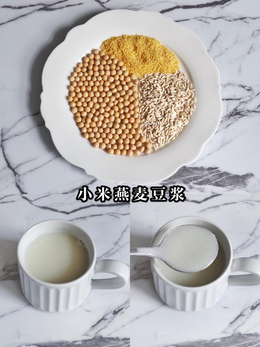 ㊙️减脂早餐|六款养生豆浆搭配🥛好喝又健康的做法 步骤4