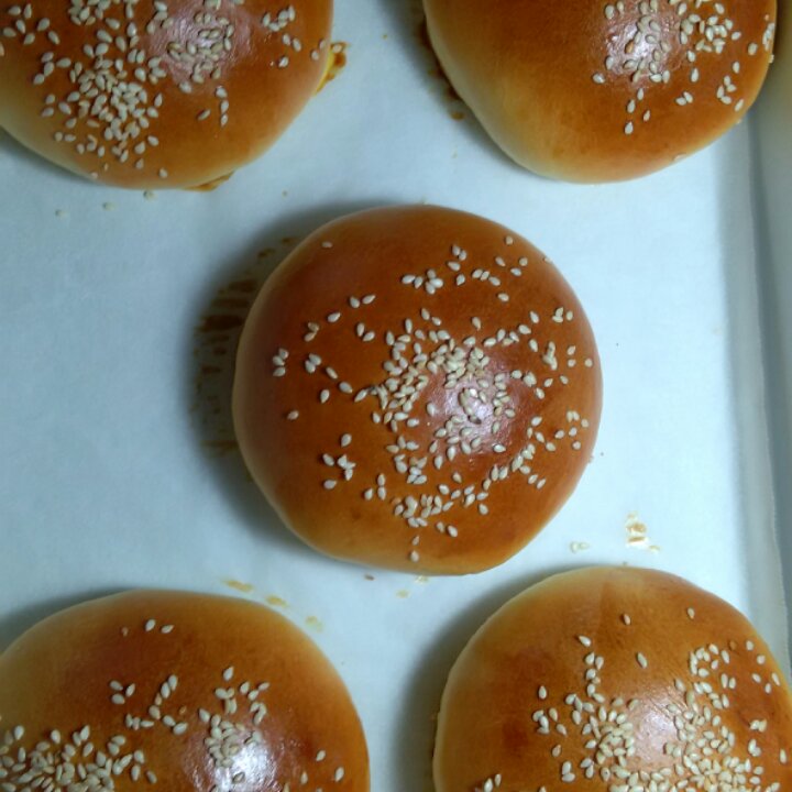 汉堡胚（中种法）
