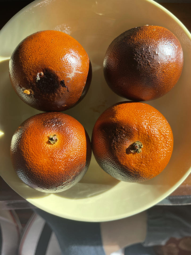 烤橙子