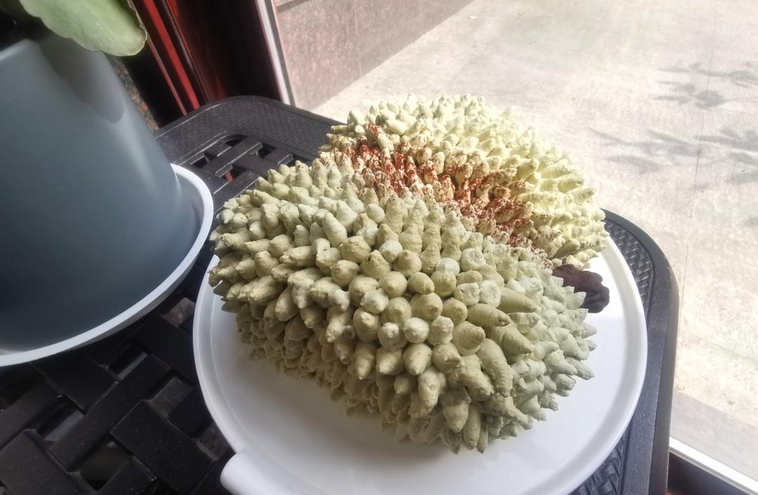 以假乱真裱花榴莲蛋糕