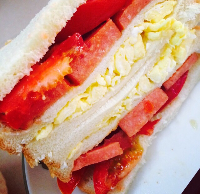 zzzxxxb做的堂妈小厨——三明治