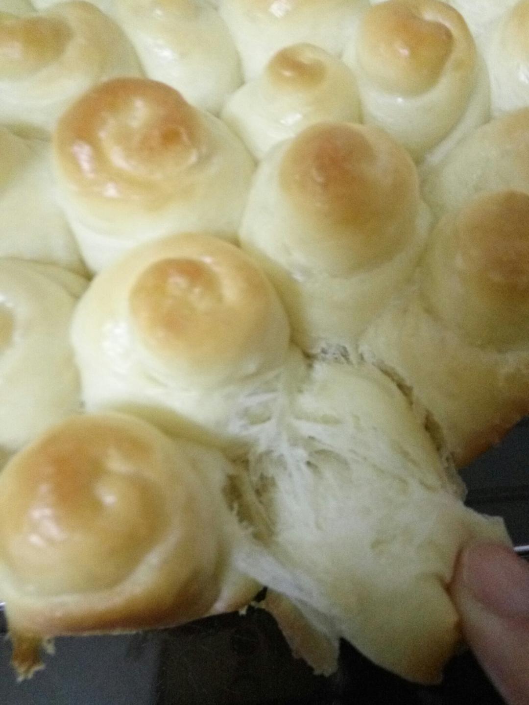 金钱小面包