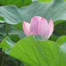 手机用户3128_cr0e的厨房