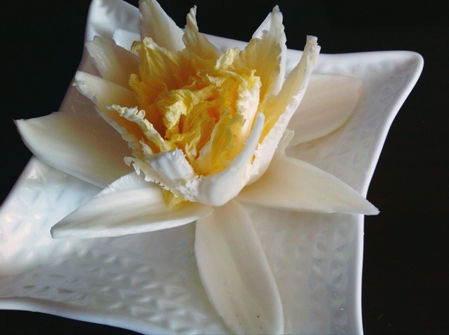 白菜莲花