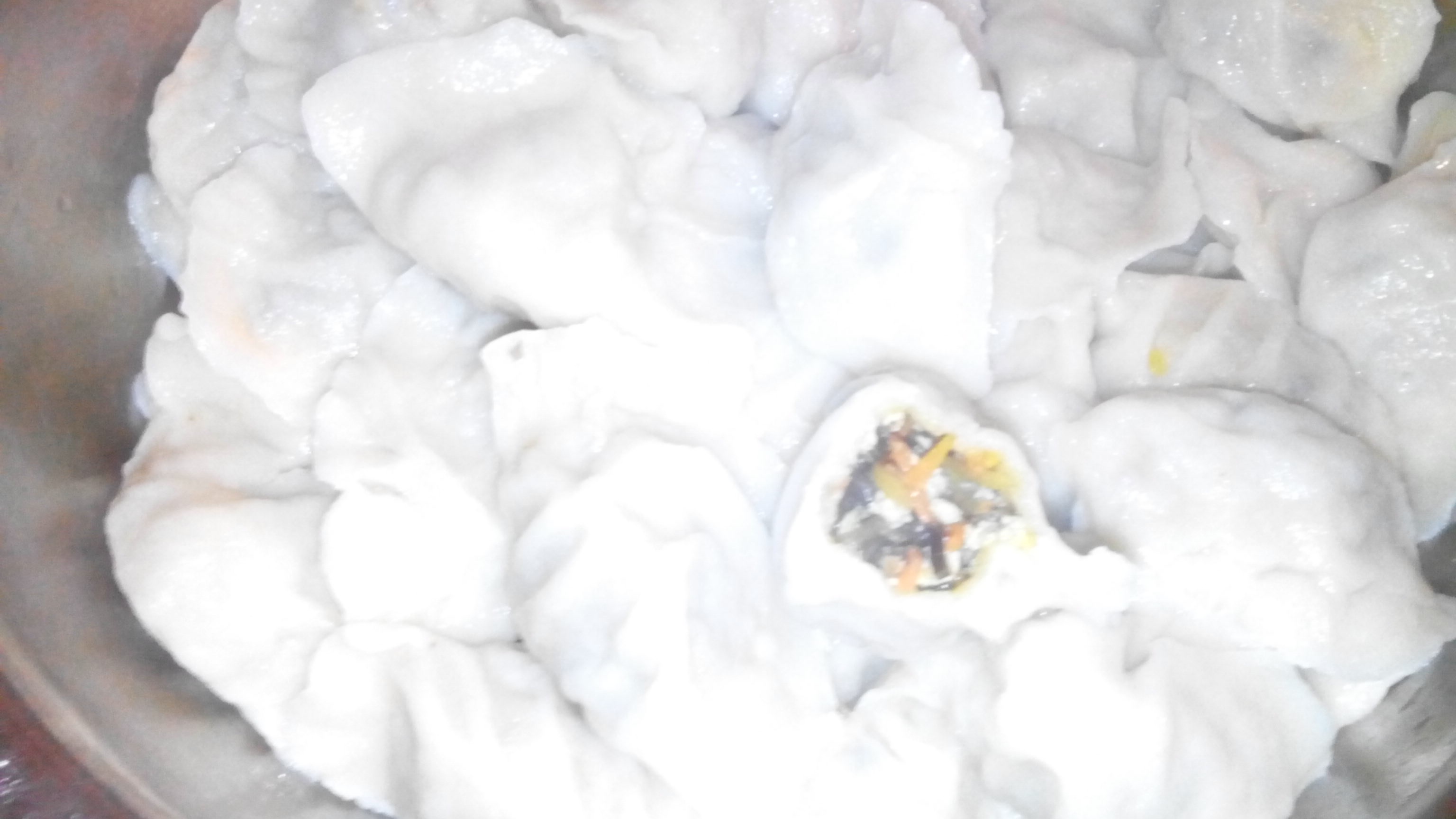 私房胡萝卜素馅饺子