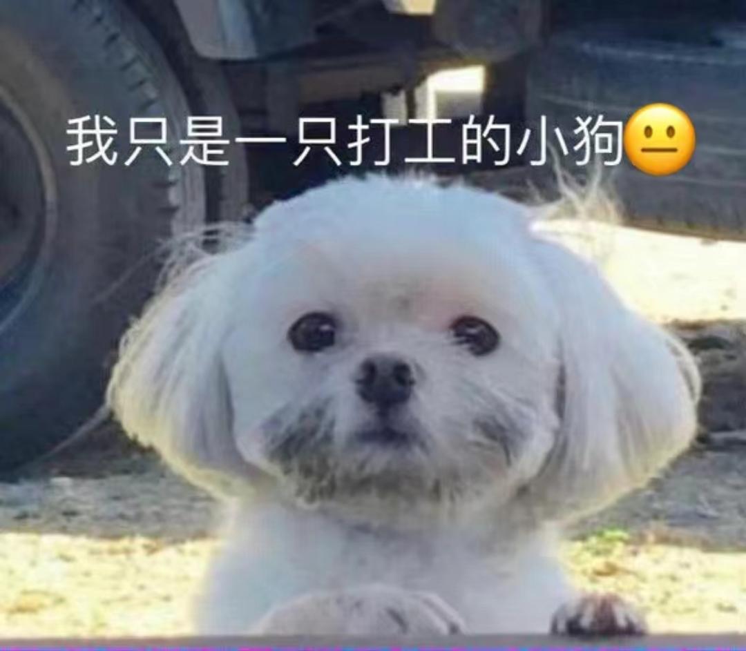 厨房好味食谱宝典