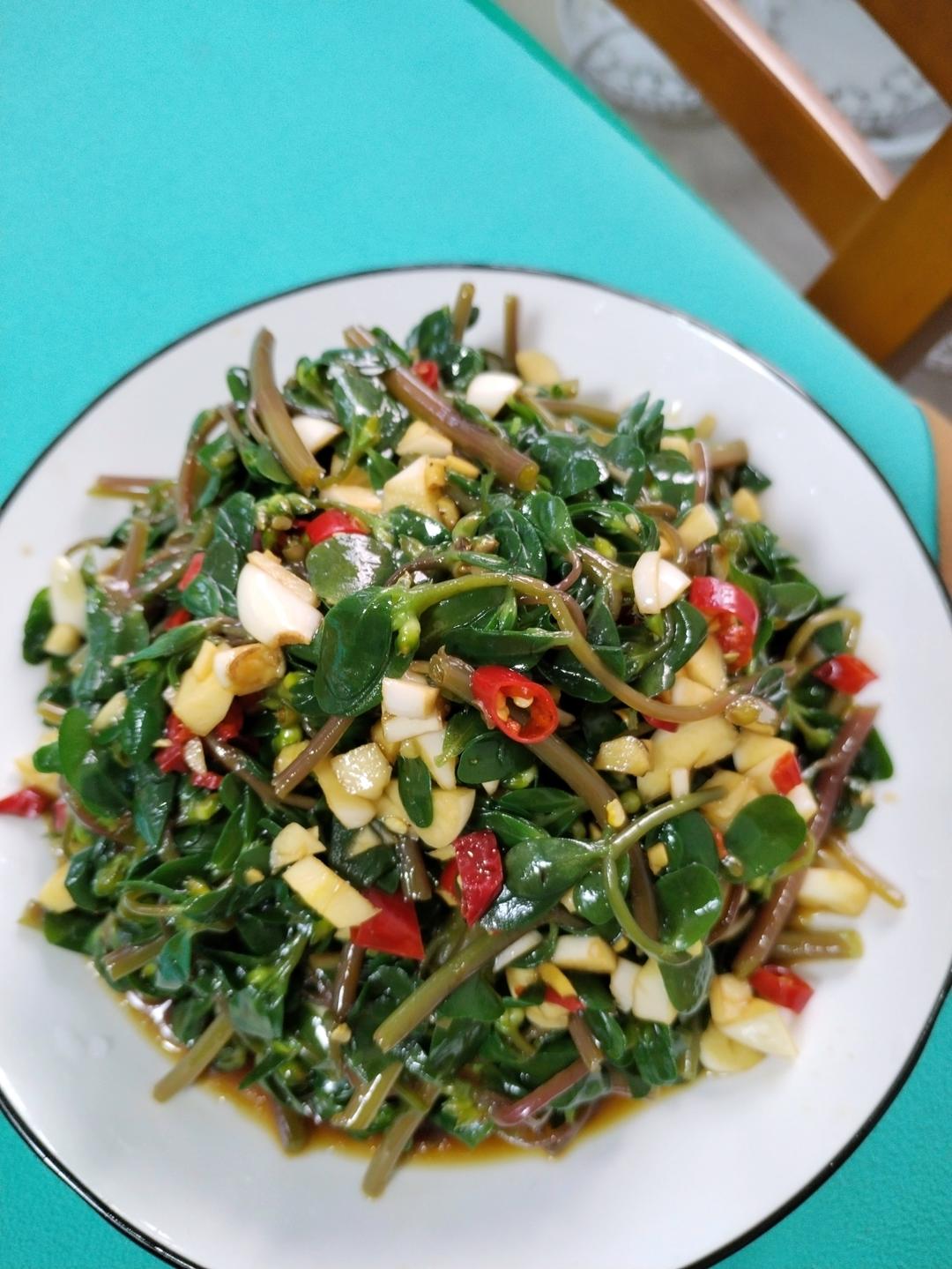 吃盘野菜 凉拌马齿苋