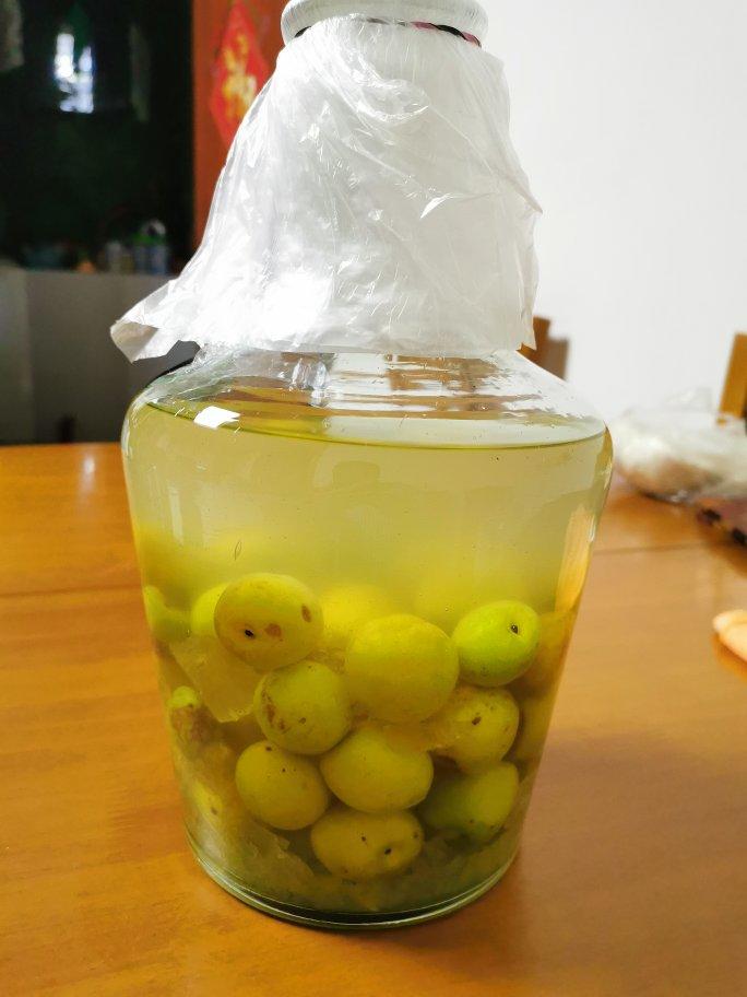 青梅酒（优的春日私酿第二話）
