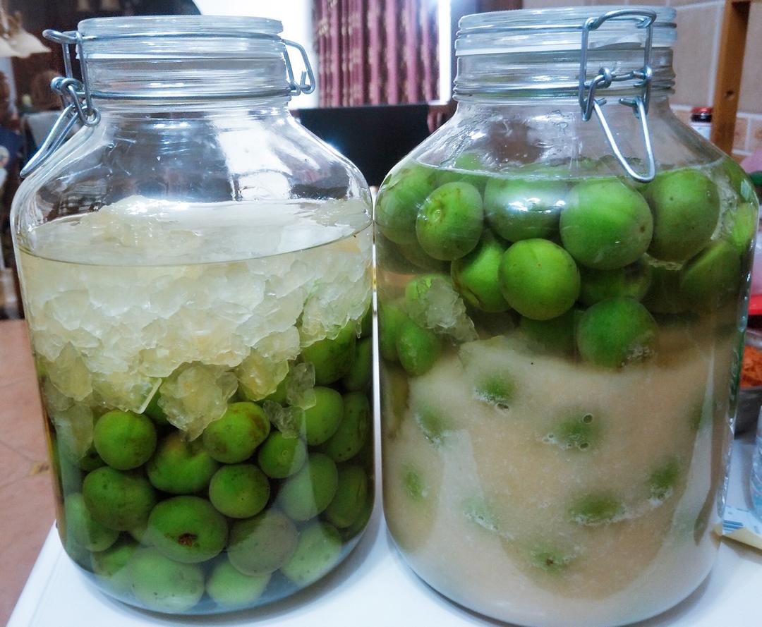 【古法蜂蜜青梅酒】不用高度酒，纯靠发酵出来的青梅酒