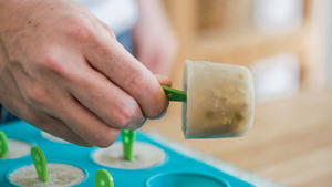 绿豆燕麦冰棒的做法 步骤12