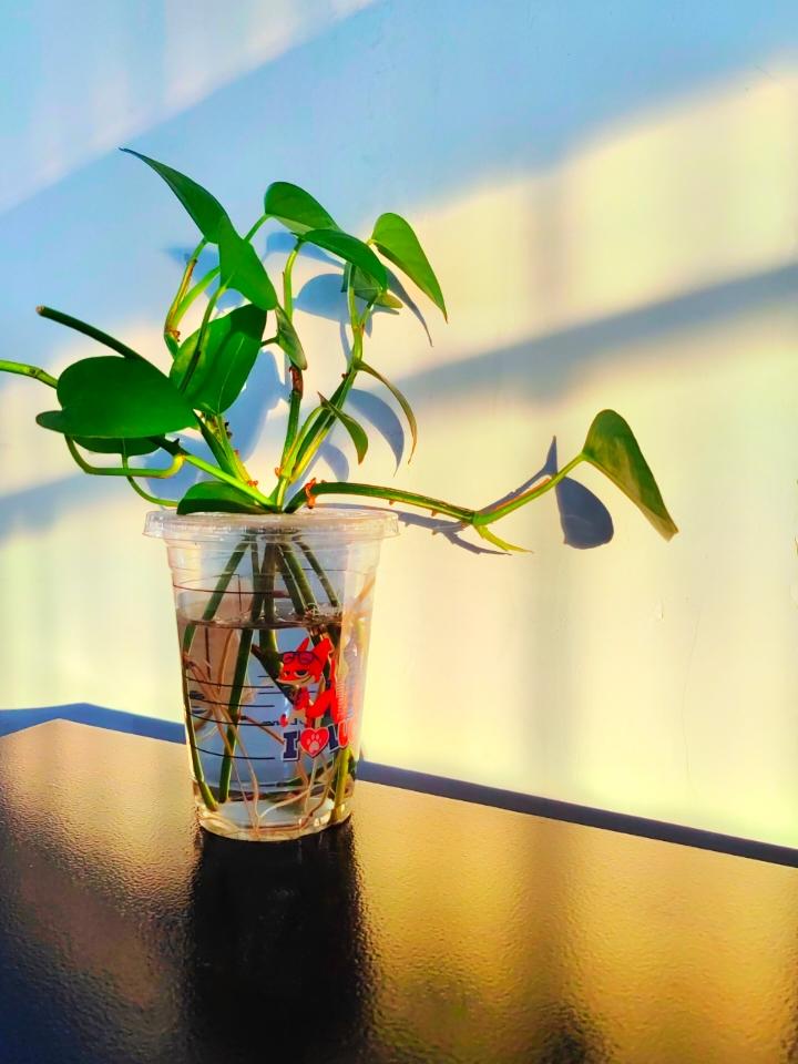 蜜蜜妈妈私房菜