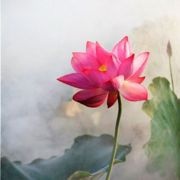 午后的卡普奇诺