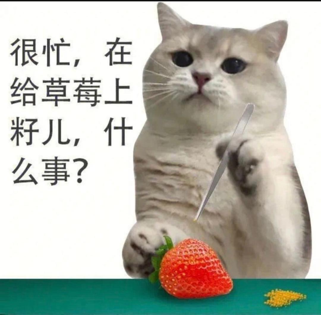 黑暗四季豆