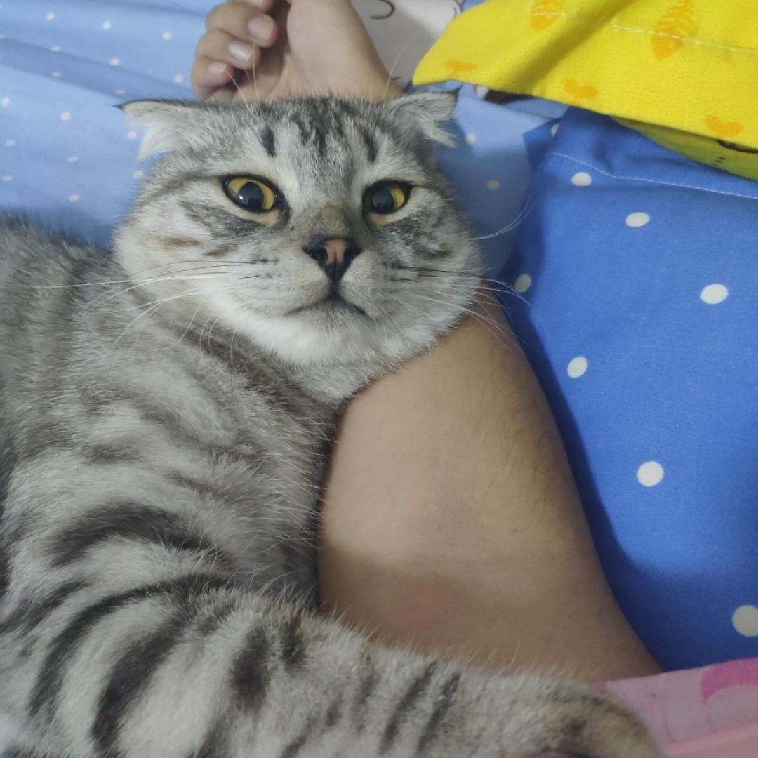渣渣Orz