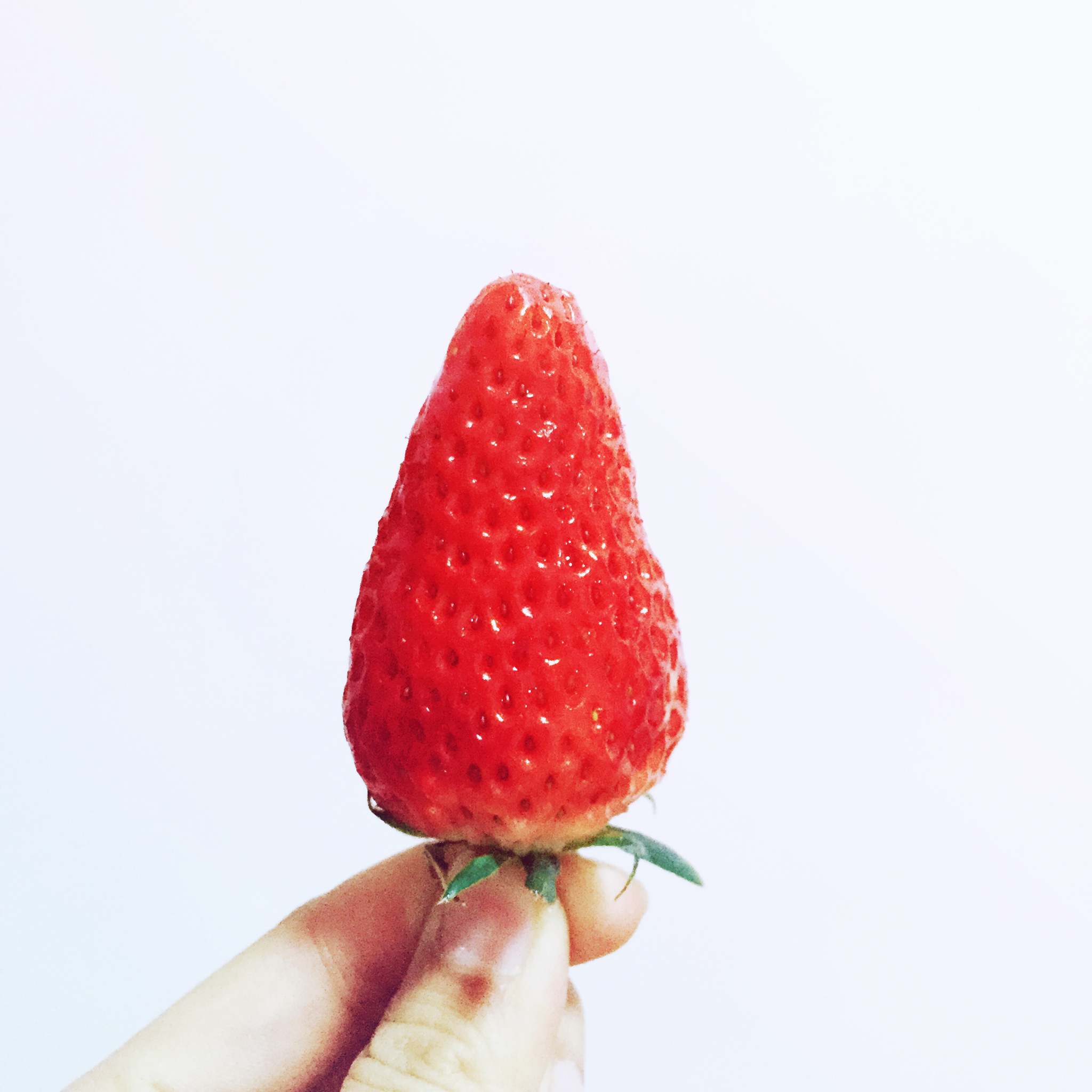 周小昕儿做的今冬第一颗草莓