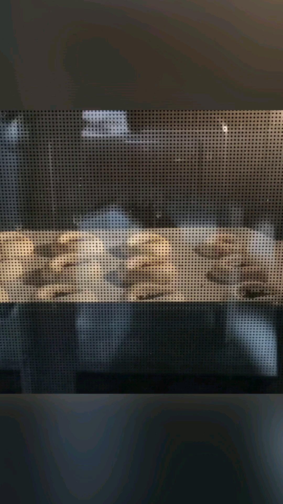 超简单零失败的酥的掉渣的老式桃酥