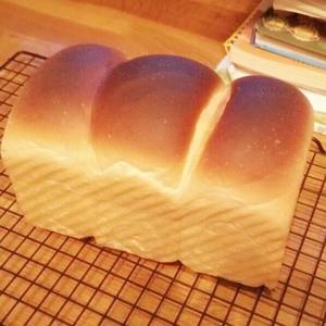 北海道中种手撕面包（百分百）的做法 步骤23
