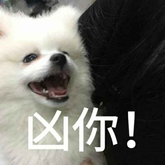 -阿凉