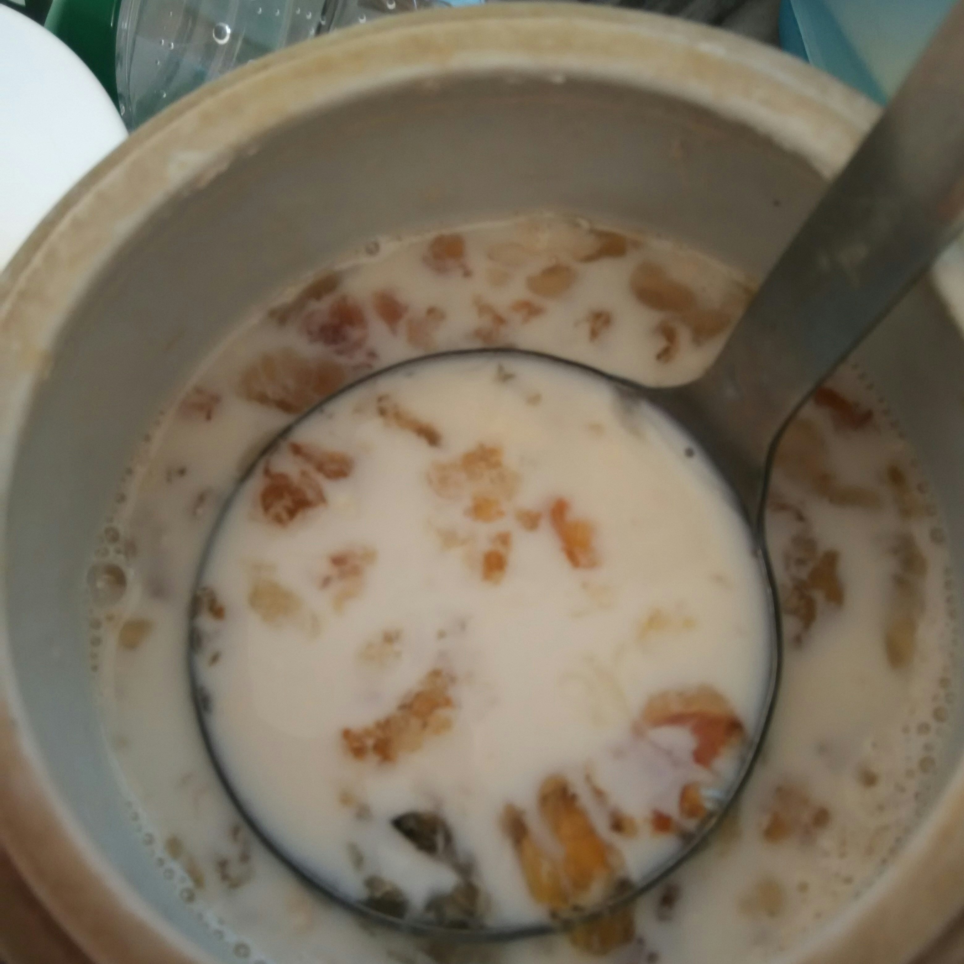 牛奶炖桃胶