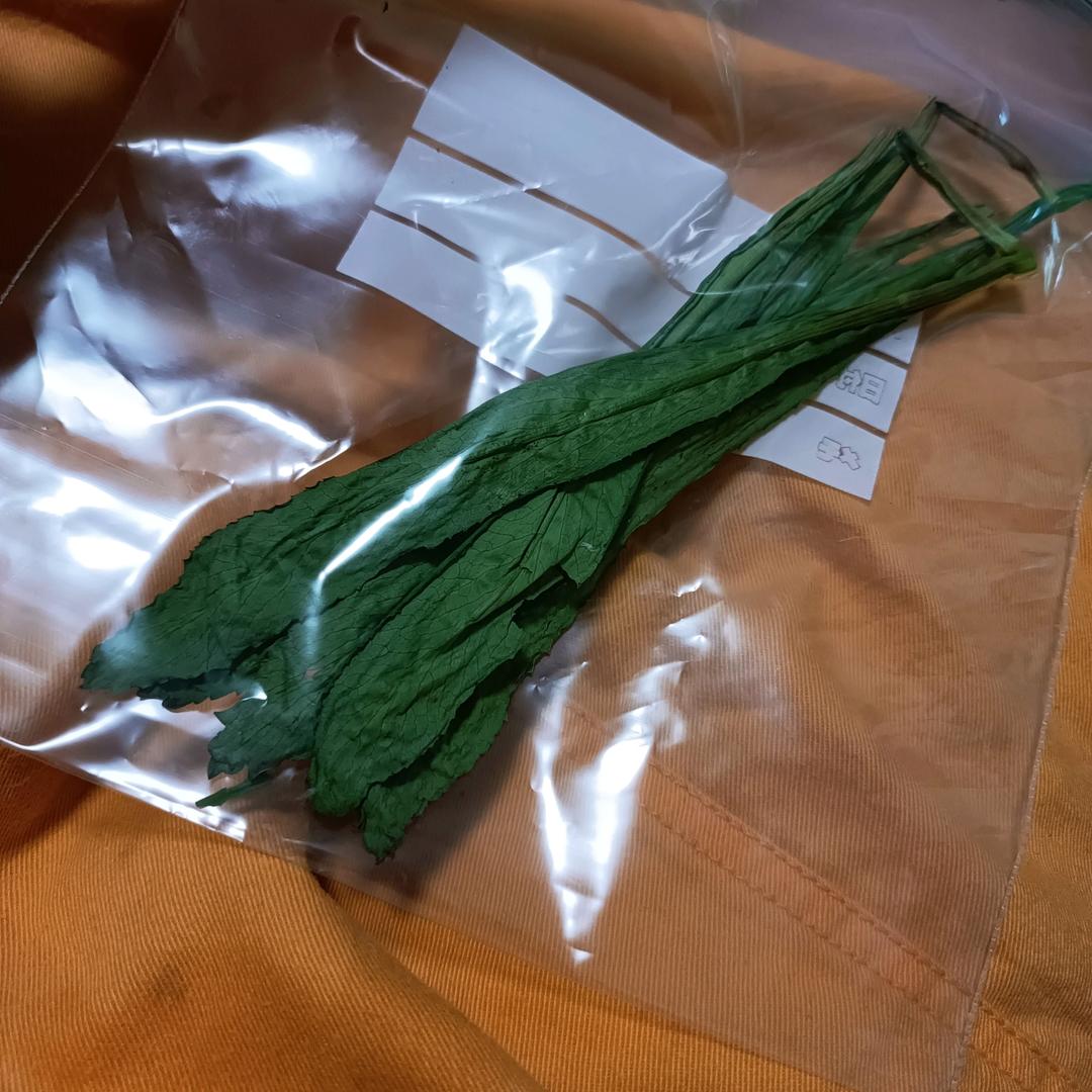 万用香草香料保存大法！仅需微波炉～百里香迷迭香罗勒欧芹均适用～