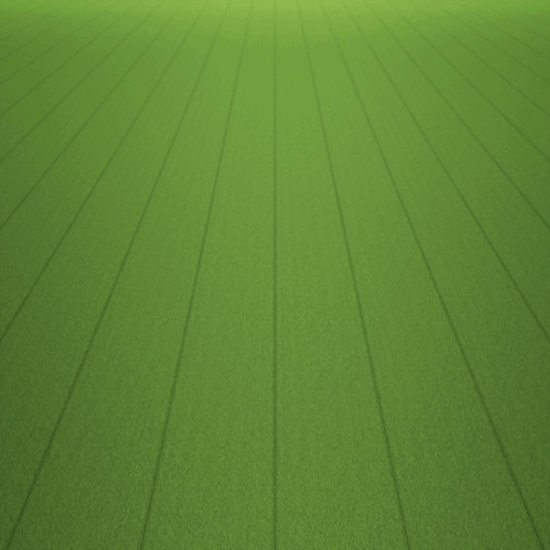 FY_s63w