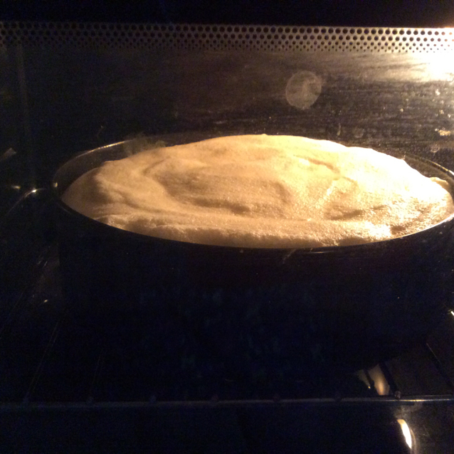 无油酸奶蛋糕【仿真轻乳酪】