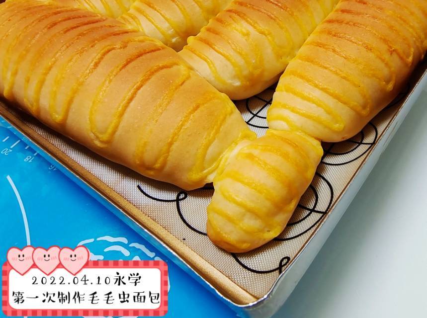 毛毛虫面包
