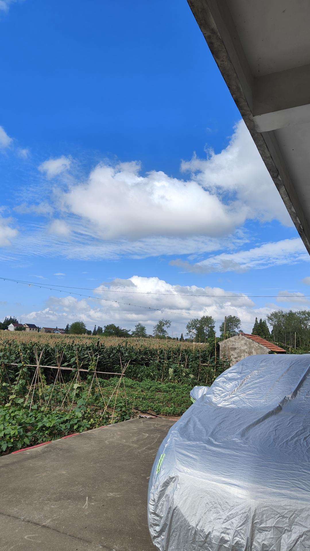 覆盆子/树莓开心果蛋糕卷