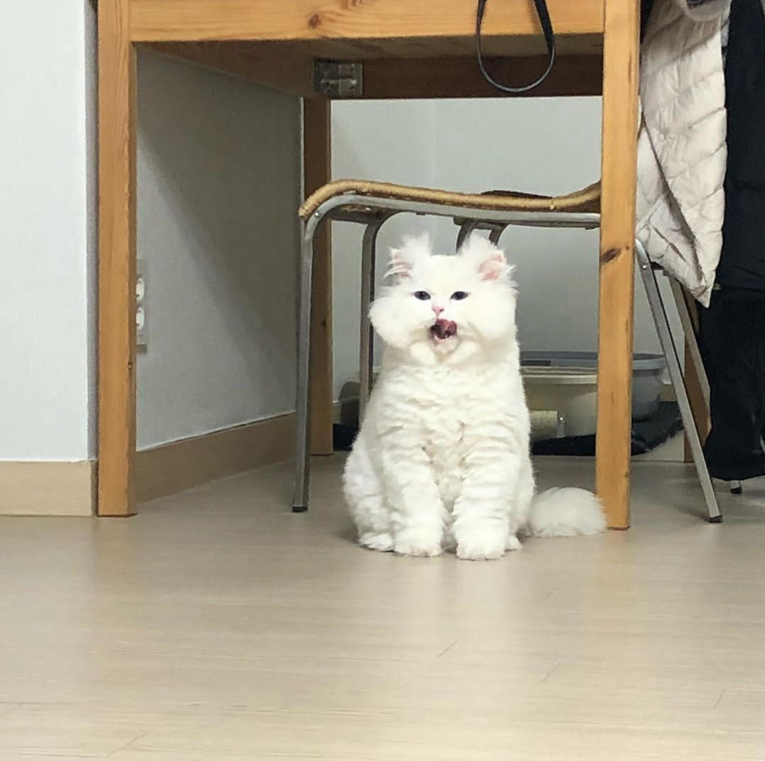 _lli