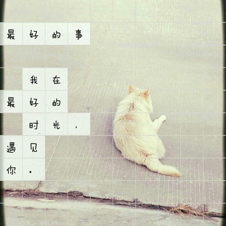 ╮▌insist￢