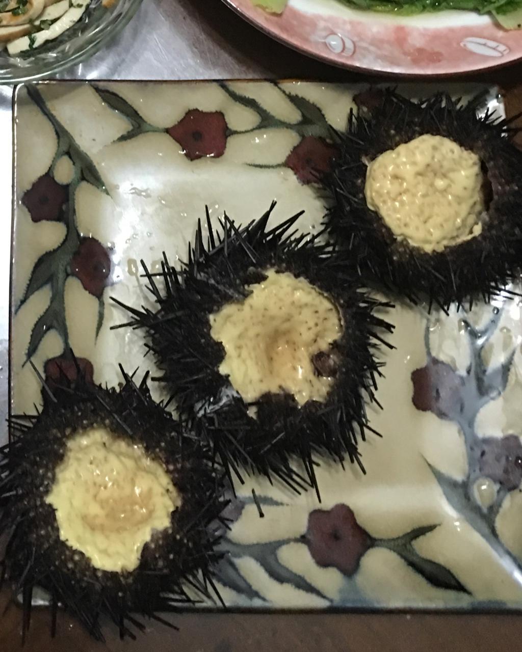 海胆蒸蛋