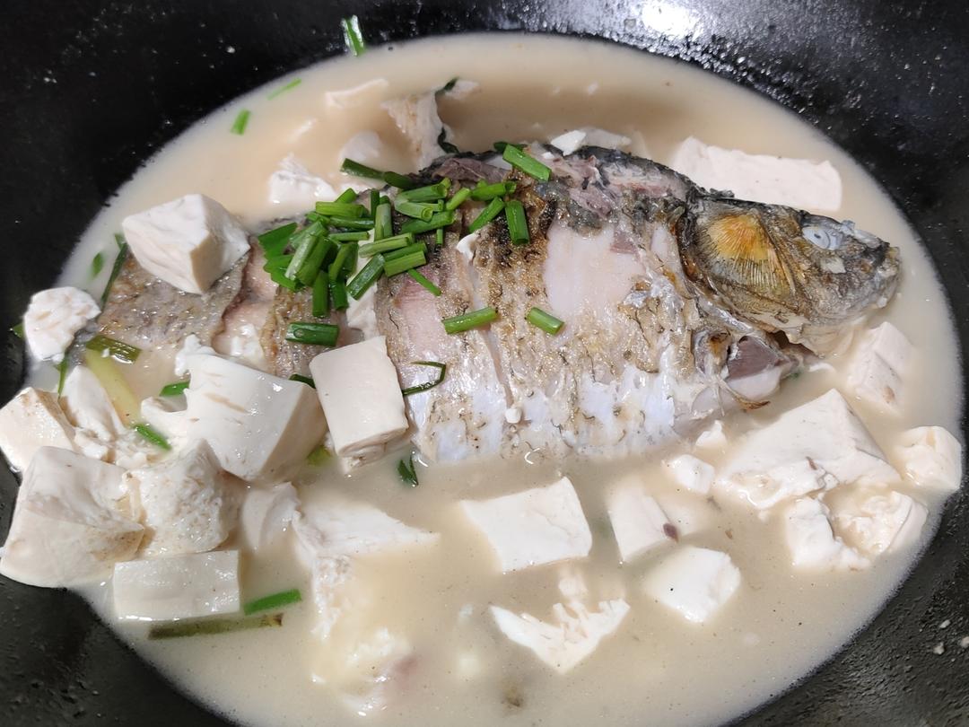 奶白鲫鱼豆腐汤|一条鱼最后的温柔