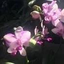 盛瑞祥私房醇味