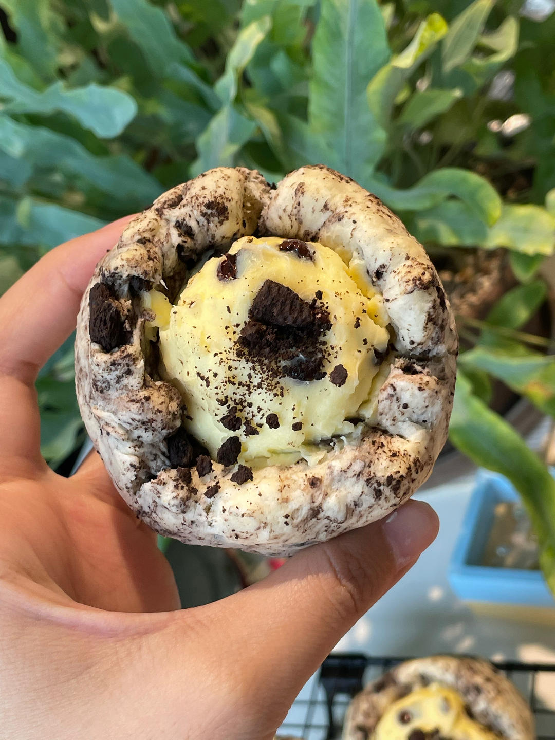 巧克力奥利奥乳酪司康