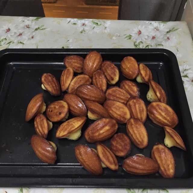玛德琳（蓝带方）